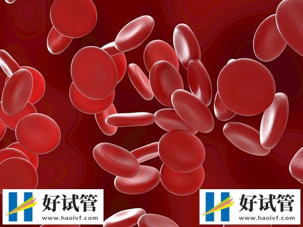 地贫试管婴儿技术讲解,优势、步骤、风险一文通(图1) 地贫试管婴儿技术讲解,优势、步骤、风险一文通(图1)