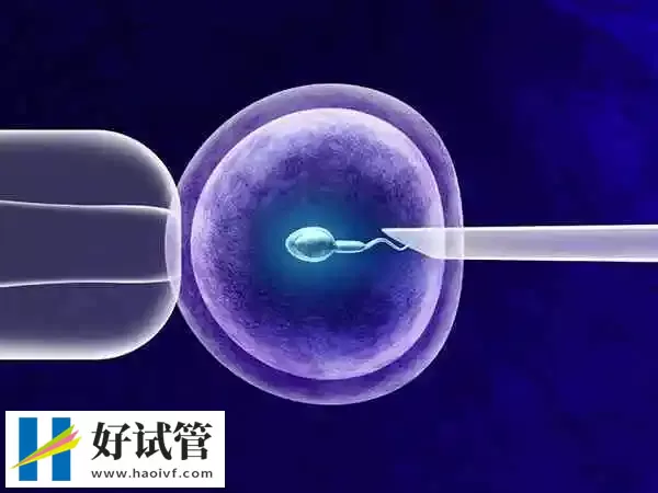 试管婴儿雌激素低怎么办(图1) 试管婴儿雌激素低怎么办(图1)