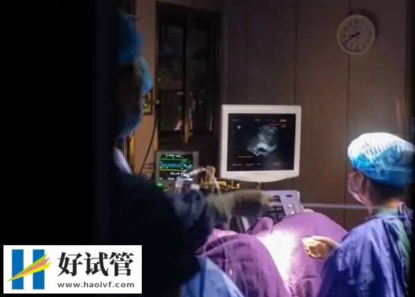 一代试管取完卵多久移植(图1) 一代试管取完卵多久移植(图1)