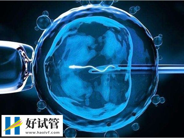 ppos方案能不能移植鲜胚(图1)