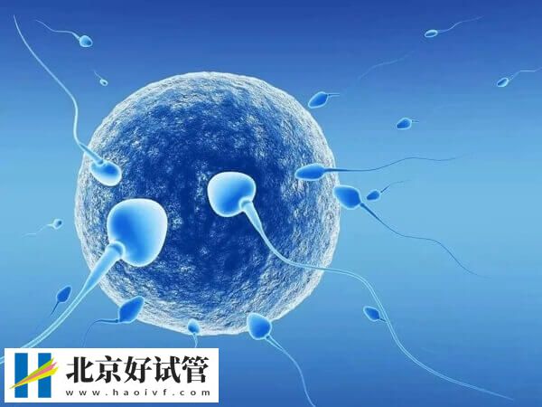 有没有移植一枚3ba囊胚成功案例(图1)