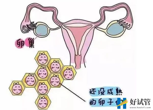 三代试管婴儿 北京朝阳区生育津贴有时间限制吗收藏!北京朝阳区生育津贴领取(材料+流程+标准)(图6)